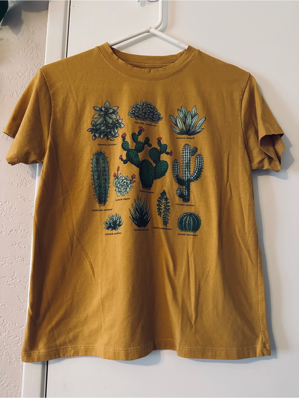 Fifth Sun Short Sleeve Tee-Size large-Mustard Yellow Cactus Graphics